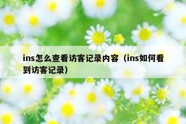 ins怎么查看访客记录内容（ins如何看到访客记录） 第1张