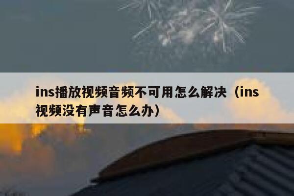 ins播放视频音频不可用怎么解决（ins视频没有声音怎么办） 第1张