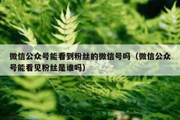 微信公众号能看到粉丝的微信号吗（微信公众号能看见粉丝是谁吗） 第1张