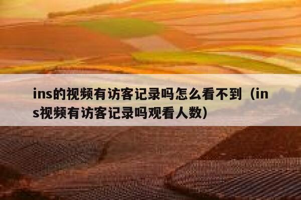 ins的视频有访客记录吗怎么看不到（ins视频有访客记录吗观看人数） 第1张