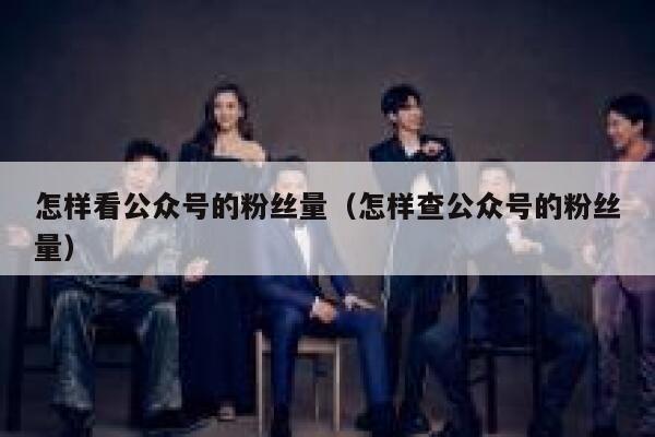 怎样看公众号的粉丝量（怎样查公众号的粉丝量） 第1张