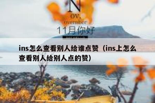 ins怎么查看别人给谁点赞（ins上怎么查看别人给别人点的赞） 第1张