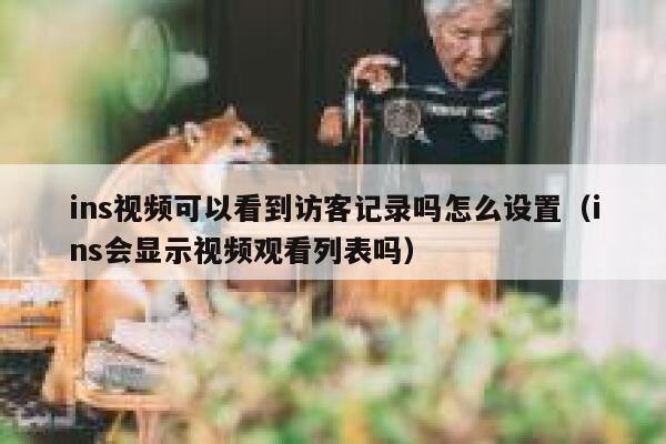 ins视频可以看到访客记录吗怎么设置（ins会显示视频观看列表吗） 第1张