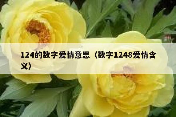 124的数字爱情意思（数字1248爱情含义） 第1张