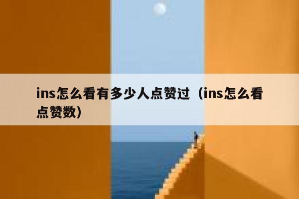 ins怎么看有多少人点赞过（ins怎么看点赞数） 第1张