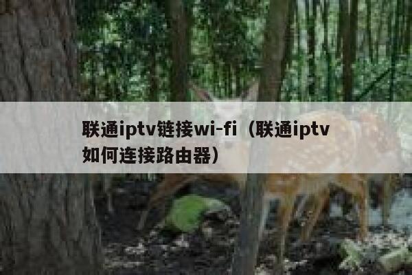 联通iptv链接wi-fi（联通iptv如何连接路由器） 第1张
