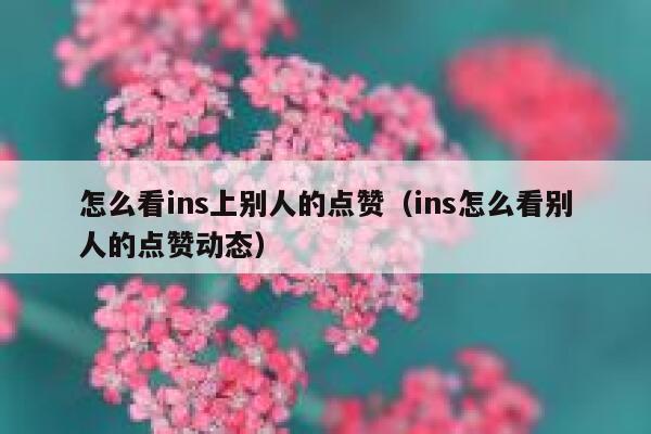 怎么看ins上别人的点赞（ins怎么看别人的点赞动态） 第1张