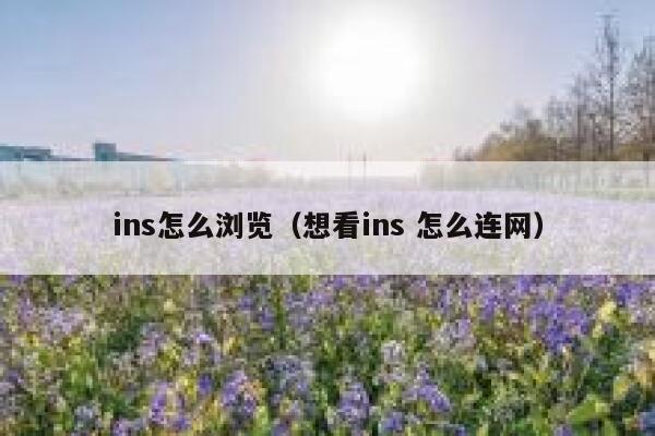 ins怎么浏览（想看ins 怎么连网） 第1张