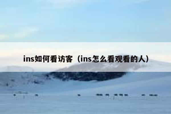 ins如何看访客（ins怎么看观看的人） 第1张