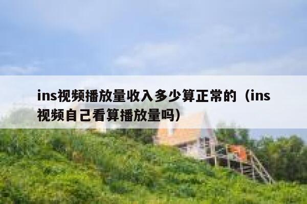 ins视频播放量收入多少算正常的（ins视频自己看算播放量吗） 第1张