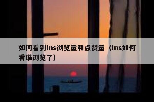 如何看到ins浏览量和点赞量（ins如何看谁浏览了） 第1张