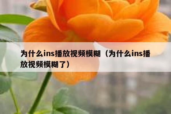 为什么ins播放视频模糊（为什么ins播放视频模糊了） 第1张