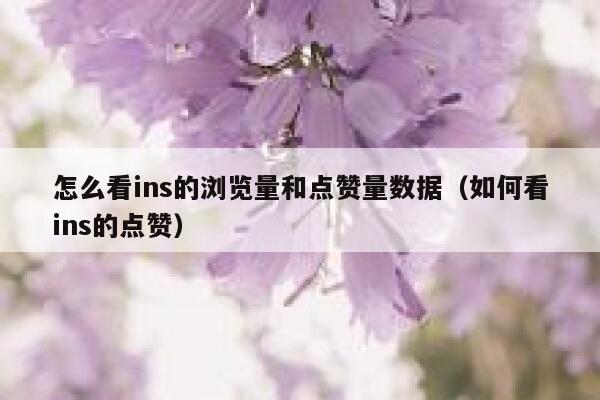 怎么看ins的浏览量和点赞量数据（如何看ins的点赞） 第1张
