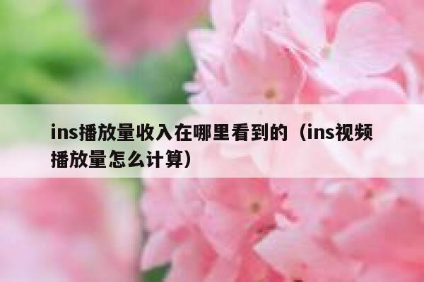 ins播放量收入在哪里看到的（ins视频播放量怎么计算） 第1张