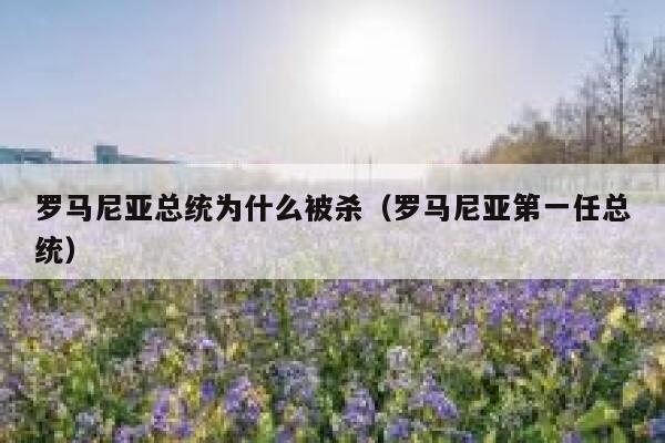 罗马尼亚总统为什么被杀(罗马尼亚第一任总统) 第1张 罗马尼亚总统为什么被杀(罗马尼亚第一任总统) 第1张