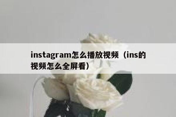 instagram怎么播放视频(ins的视频怎么全屏看) 第1张 instagram怎么播放视频(ins的视频怎么全屏看) 第1张