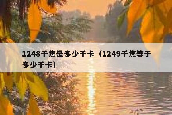 1248千焦是多少千卡(1249千焦等于多少千卡) 第1张 1248千焦是多少千卡(1249千焦等于多少千卡) 第1张