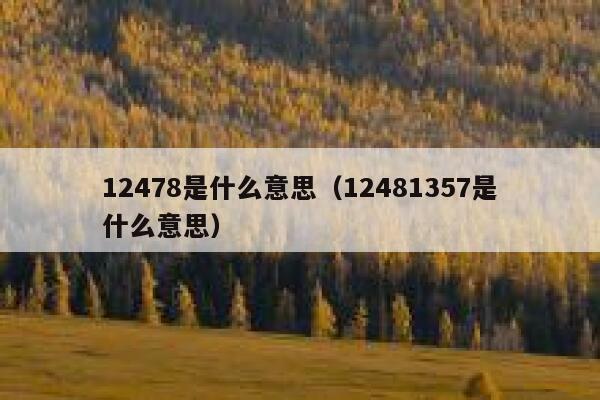 12478是什么意思(12481357是什么意思) 第1张 12478是什么意思(12481357是什么意思) 第1张