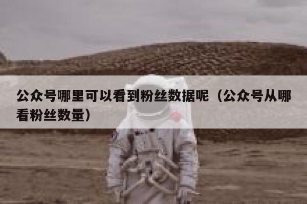 公众号哪里可以看到粉丝数据呢(公众号从哪看粉丝数量) 第1张 公众号哪里可以看到粉丝数据呢(公众号从哪看粉丝数量) 第1张
