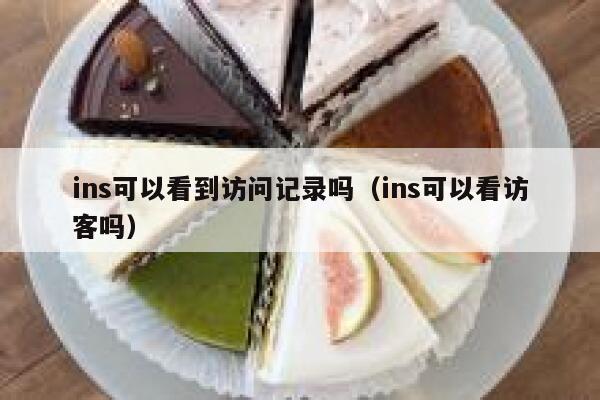 ins可以看到访问记录吗(ins可以看访客吗) 第1张 ins可以看到访问记录吗(ins可以看访客吗) 第1张