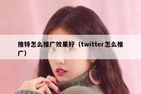 推特怎么推广效果好(twitter怎么推广) 第1张 推特怎么推广效果好(twitter怎么推广) 第1张
