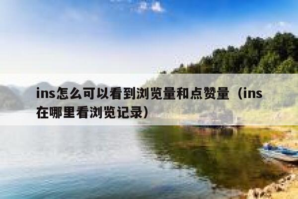 ins怎么可以看到浏览量和点赞量(ins在哪里看浏览记录) 第1张 ins怎么可以看到浏览量和点赞量(ins在哪里看浏览记录) 第1张