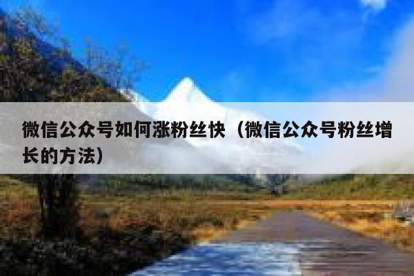 微信公众号如何涨粉丝快(微信公众号粉丝增长的方法) 第1张 微信公众号如何涨粉丝快(微信公众号粉丝增长的方法) 第1张