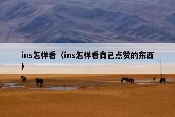 ins怎样看(ins怎样看自己点赞的东西) 第1张 ins怎样看(ins怎样看自己点赞的东西) 第1张