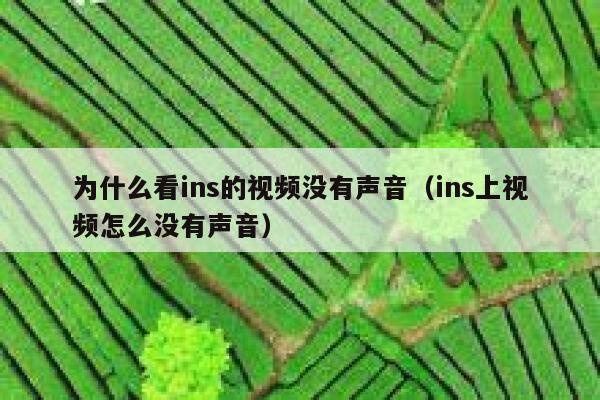 为什么看ins的视频没有声音(ins上视频怎么没有声音) 第1张 为什么看ins的视频没有声音(ins上视频怎么没有声音) 第1张