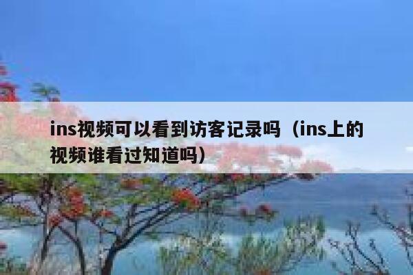 ins视频可以看到访客记录吗(ins上的视频谁看过知道吗) 第1张 ins视频可以看到访客记录吗(ins上的视频谁看过知道吗) 第1张