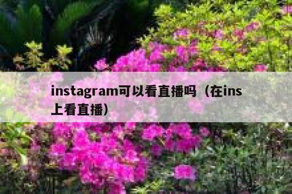instagram可以看直播吗(在ins上看直播) 第1张 instagram可以看直播吗(在ins上看直播) 第1张
