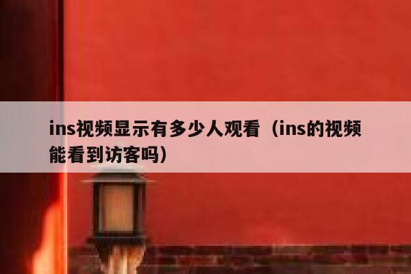 ins视频显示有多少人观看(ins的视频能看到访客吗) 第1张 ins视频显示有多少人观看(ins的视频能看到访客吗) 第1张