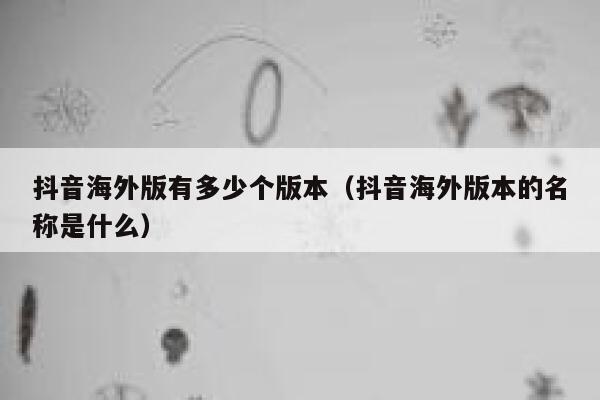抖音海外版有多少个版本(抖音海外版本的名称是什么) 第1张 抖音海外版有多少个版本(抖音海外版本的名称是什么) 第1张