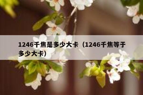1246千焦是多少大卡(1246千焦等于多少大卡) 第1张 1246千焦是多少大卡(1246千焦等于多少大卡) 第1张