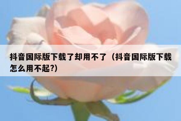 抖音国际版下载了却用不了(抖音国际版下载怎么用不起?) 第1张 抖音国际版下载了却用不了(抖音国际版下载怎么用不起?) 第1张