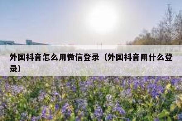 外国抖音怎么用微信登录(外国抖音用什么登录) 第1张 外国抖音怎么用微信登录(外国抖音用什么登录) 第1张