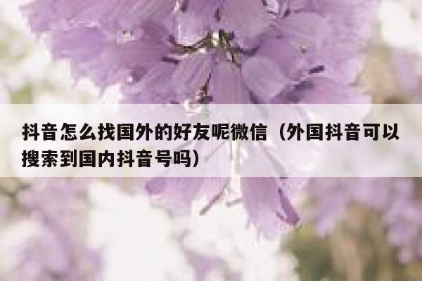 抖音怎么找国外的好友呢微信(外国抖音可以搜索到国内抖音号吗) 第1张 抖音怎么找国外的好友呢微信(外国抖音可以搜索到国内抖音号吗) 第1张