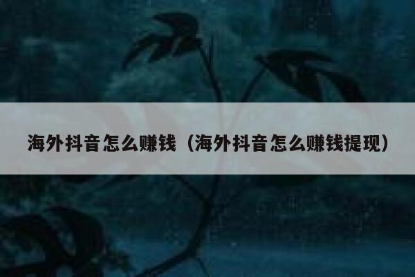 海外抖音怎么赚钱(海外抖音怎么赚钱提现) 第1张 海外抖音怎么赚钱(海外抖音怎么赚钱提现) 第1张