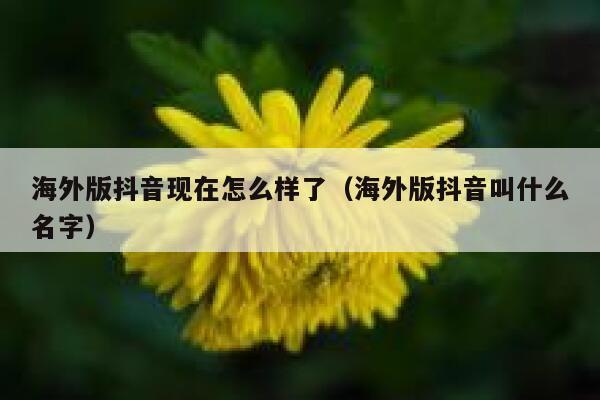 海外版抖音现在怎么样了(海外版抖音叫什么名字) 第1张 海外版抖音现在怎么样了(海外版抖音叫什么名字) 第1张