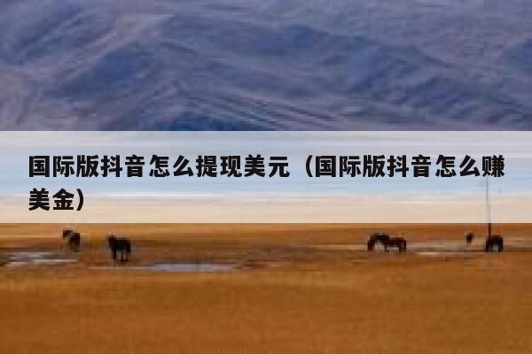 国际版抖音怎么提现美元(国际版抖音怎么赚美金) 第1张 国际版抖音怎么提现美元(国际版抖音怎么赚美金) 第1张