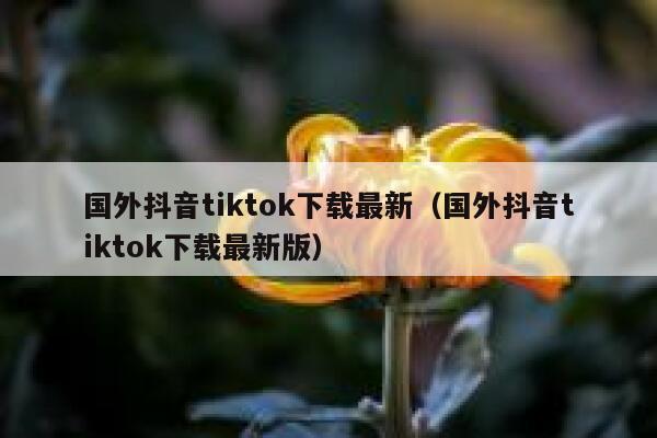 国外抖音tiktok下载最新(国外抖音tiktok下载最新版) 第1张 国外抖音tiktok下载最新(国外抖音tiktok下载最新版) 第1张