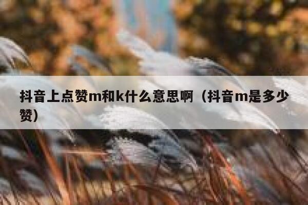 抖音上点赞m和k什么意思啊(抖音m是多少赞) 第1张 抖音上点赞m和k什么意思啊(抖音m是多少赞) 第1张