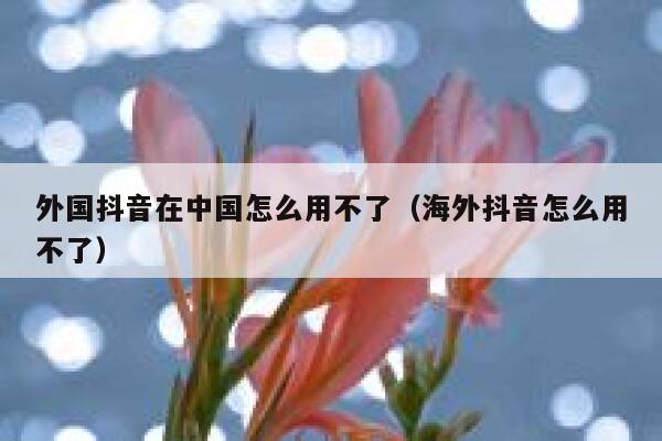 外国抖音在中国怎么用不了(海外抖音怎么用不了) 第1张 外国抖音在中国怎么用不了(海外抖音怎么用不了) 第1张