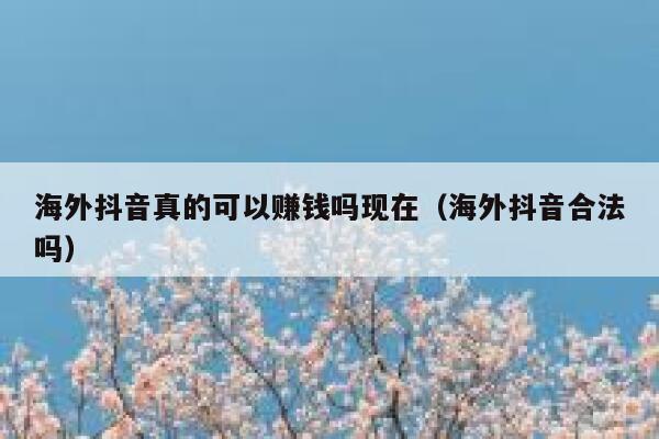 海外抖音真的可以赚钱吗现在(海外抖音合法吗) 第1张 海外抖音真的可以赚钱吗现在(海外抖音合法吗) 第1张