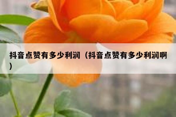 抖音点赞有多少利润(抖音点赞有多少利润啊) 第1张 抖音点赞有多少利润(抖音点赞有多少利润啊) 第1张