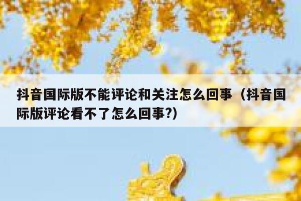 抖音国际版不能评论和关注怎么回事(抖音国际版评论看不了怎么回事?) 第1张 抖音国际版不能评论和关注怎么回事(抖音国际版评论看不了怎么回事?) 第1张