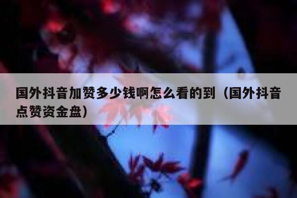 国外抖音加赞多少钱啊怎么看的到(国外抖音点赞资金盘) 第1张 国外抖音加赞多少钱啊怎么看的到(国外抖音点赞资金盘) 第1张