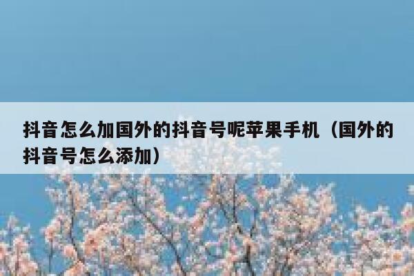 抖音怎么加国外的抖音号呢苹果手机(国外的抖音号怎么添加) 第1张 抖音怎么加国外的抖音号呢苹果手机(国外的抖音号怎么添加) 第1张