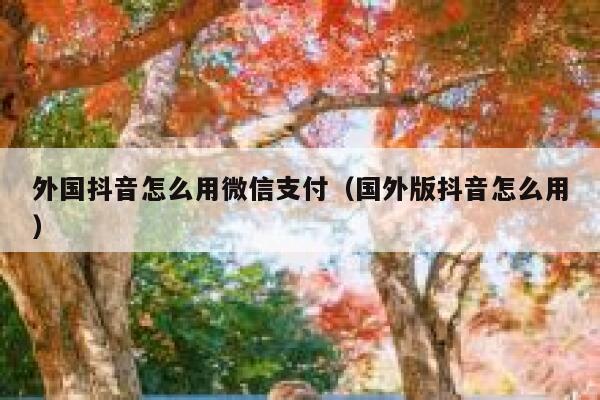 外国抖音怎么用微信支付(国外版抖音怎么用) 第1张 外国抖音怎么用微信支付(国外版抖音怎么用) 第1张