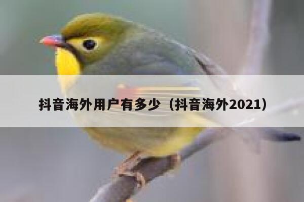 抖音海外用户有多少(抖音海外2021) 第1张 抖音海外用户有多少(抖音海外2021) 第1张